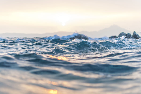 It's World Oceans Week!