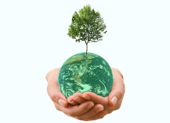 3 Easy Ways to be More "Green"